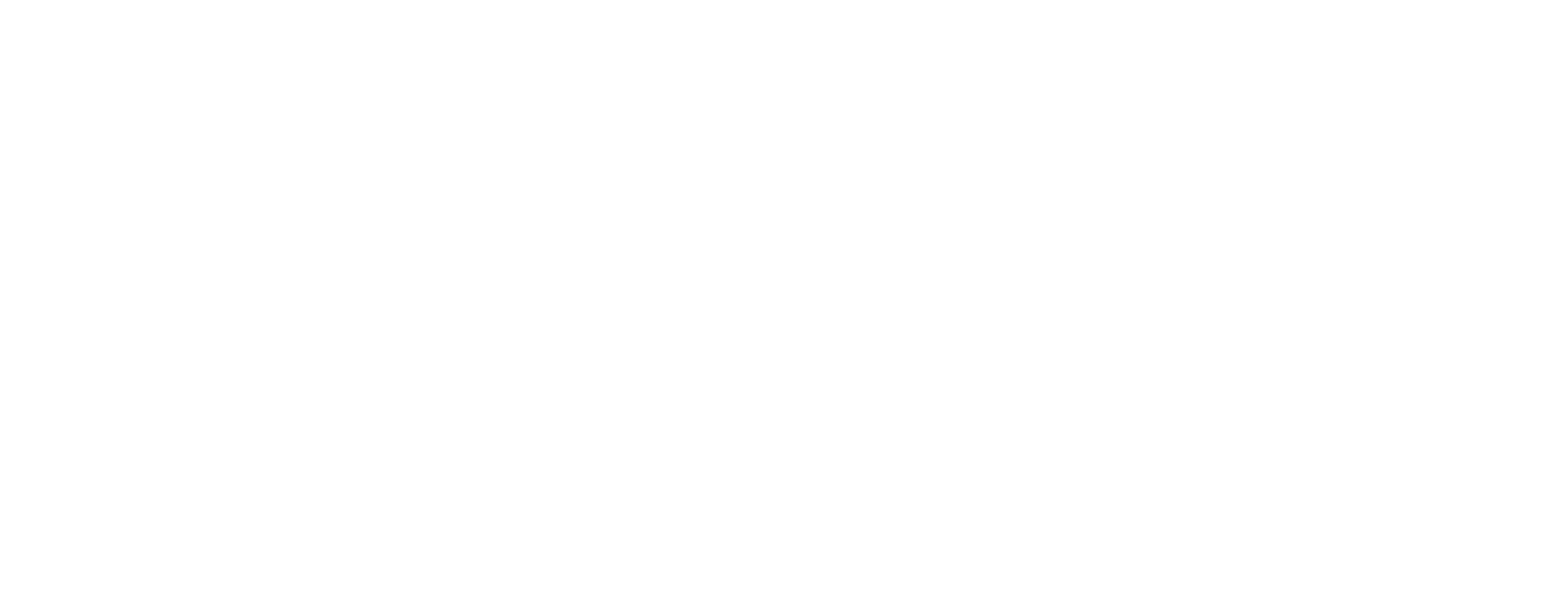 The Belfort Group White Transparent Logo