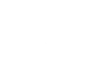 Wsj logo