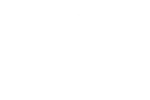 fox business