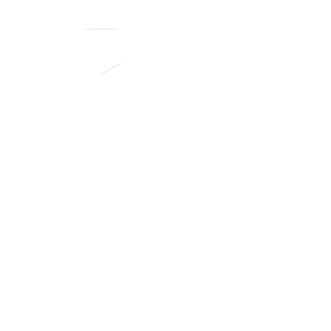 Umass Boston White